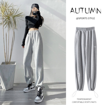 Gray sports pants women Spring and Autumn loose tie pants ins tide 20210 new autumn winter plus velvet casual pants