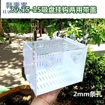 Double-grid acrylic black turtle seedling turtle isolation box isolation box White incubation box dogfish
