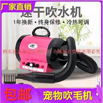  Dog hair dryer Large dog bathing small mini pet shop Special variable speed household silent teddy