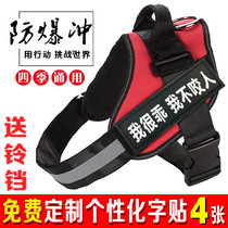 K9 pooch with chest braces for dog traction rope Kimura Labrador large dog chain in Alaska