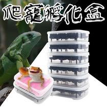 Climbing Hatchbox Vigil Hatchbox Mane Lion Corn Pet Climbing and Hatching Turtle Egg Og Egg Septa Vermiculite Separation
