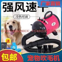 Large dog hair dryer for dogs Household large wind lower water blower Small hair dryer portable dog net celebrity