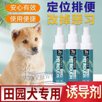 Field Yard Dog Special Guide Urine Toilet Pee Pee Pet Boot Pull Shit Inducing Agent Pooch Relieve point training