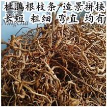 Rhododendron root branches Fish tank South American tank landscaping decoration fine moss wood skeleton DIY small cylinder sinking wood tree forest