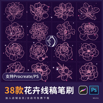 procreate brush ps brush peony flower plant tattoo tattoo line illustration exercise