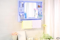 Decorative mirror plastic mirror wall-mounted toilet hanging household hanging towel storage small apartment type simple multi-work