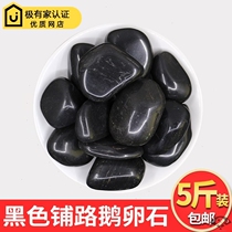 Black cobblestone paving road Rain Flower Stone original stone natural black goose egg soft stone courtyard fish tank Gardening Landscape