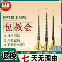 Wang Jia Biao Suona Musical Instrument Full Set of Beginner National Musical Instrument Horn D-tone Professional Suona Performance Service