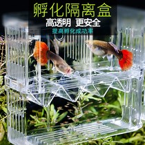 Fish cub artifact fish breeding box fish tank fish fry incubator isolation box small fish incubator box acrylic fish egg production