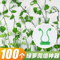 Vine green plant indoor nail-Free Wall self-adhesive hook Green Luo Wall holder climbing artifact no trace climbing