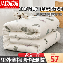 Xinjiang Long Suede Cotton Quilt Handmade Cotton Quilt Core Winter Quilted By Single Double Cotton Wool Full Cotton Spring Autumn Quilt With Thickened Warmth