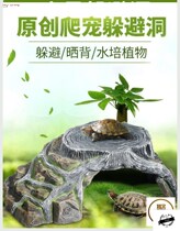 The stone climbing slope of the turtle the turtle evades the cave house the turtle the platform the climbing platform the large floating island the climbing ladder the new