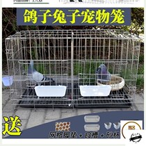 Pigeon cage home matching breeding full set of cage stainless steel color large White Pigeon Pigeon iron folding bird cage pigeon cage