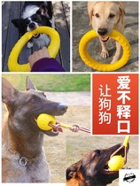 Dog toy ball interstellar large bite-resistant molars horse dog Demu puppies special training with rope ball Frisbee pull ring