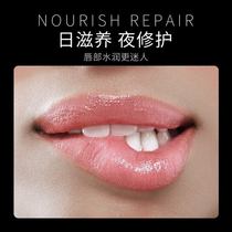 Lip balm moisturizing moisturizing and moisturizing water lightening lip lines student male and female lip film anti-dry crack colorless bottom lip balm