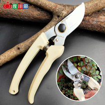 Sagawa Tin 130t Fruit tree pruning shears horticultural flower trimming scissors garden labor-saving pruning rough branches scissors