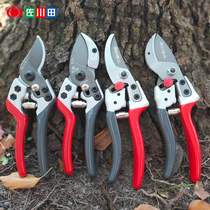 Sagawada fruit tree repair branch scissors cut fruit branches branch scissors gardening repair flower scissors garden labor-saving trimming thick branch scissors