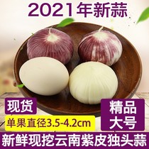 Yunnan purple garlic single head garlic 5 kg 2021 Dali dry garlic farm fresh wet garlic Red garlic single head garlic