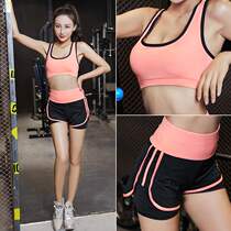 ervative womens swimsuit hot spring swimsuit two-piece set