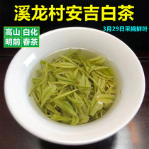 Xilong Anji White Tea 2021 New Tea Authentic Mingqian premium buds bulk tea rare green tea 250g