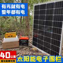 Solar electronic fence breeding cattle pig high voltage pulse host full set of pasture electronic fence protection net system