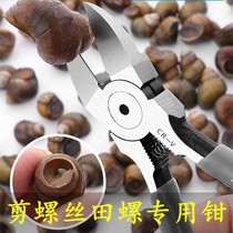 Cut screws ass artifact cut screw artifact household scissors pliers snail scissors tail snail