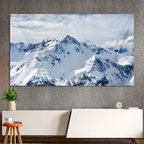 55 inch 65 inch TV Hood dust cover cover cover cloth LCD TV cover TV cloth TV cover dust cloth New