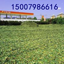 Camouflage Net anti-aerial photography camouflage net covering green net shade screen satellite anti-counterfeiting net outdoor sunshade net cloth