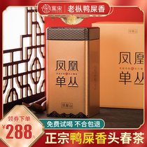 Spring tea Duck shit fragrant Phoenix single malt tea 2021 premium Oudong single bush tea Chaozhou single from tea 500g single vertical