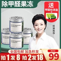 foh other than formaldehyde jelly Yang Lan Recommended new house Home Magic Box to Taint Official Flagship Store 