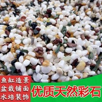 Natural colorful stone rain flower stone fleshy potted plant paving flower pot flower decoration fish tank landscape color stone paving road decoration