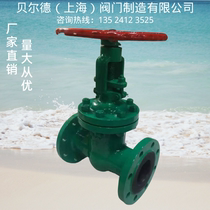 Cast steel flange lined PTFE gate valve Z41F46 16C chlorine gas strong acid and alkali special valve stainless steel DN80 300