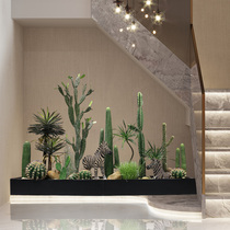 Large Emulation Cactus Fairy Post Bonsai Decoration Indoor Shop Window Green Planting Landscape Cactus Potted Landscape