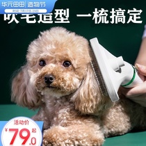 Dog hair dryer Hair pulling artifact Quick-drying water blower Hair blowing bath Cat Teddy special pet drying blow