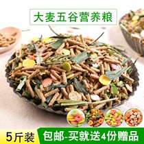 Large wheat straw pet rabbit grain 5 catties for young rabbit feed 10 guinea pigs Dutch pig grain 20 deodorized
