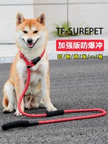 Walk Dog Rope P Chain P Rope In Large Canine Dog Towing Rope Dog Chain Training Dog Explosion gold wool Labrador Dog rope