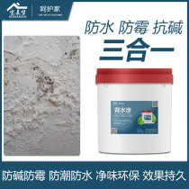 Back water surface waterproof coating to repair the internal wall roof moisture mildew basement negative water pressure artifact ceiling glue material