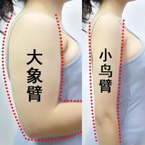Weiya recommends female God butterfly arm stickers model temperament thin arm swan arm swan arm artifact away from worship meat buy 5 get 5