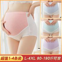 Pregnant womens underpants female cotton Gestational early High waist toastic large size gestational mid-gestation thin pantpants head tide