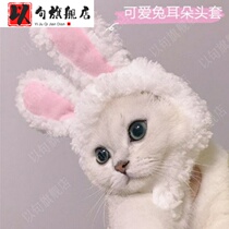 Net Red pet cat rabbit ear headgear warm hat cute funny photo headgear