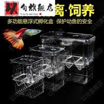 Fish Tank Isolation tank tank tank tank Fish Fish Fish Fish Fish
