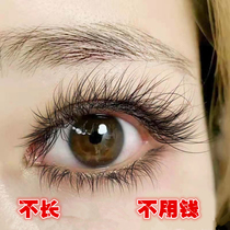 (Good thing recommended) buy 2 get 1 thick curl natural farewell false eyelash growth liquid eyebrow growth liquid