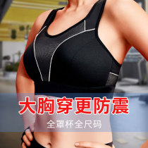 Sports Underwear Women Shockproof Large Chest Summer Shock Absorbing Professional Vest Running Display Chest Small Fitness High Strength Big Code Bra