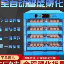Incubator egg incubator small household type automatic intelligent mini incubator chicken goose incubator incubator