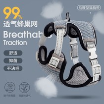 Kitty Traction Rope Chest Harness Vest Style Home Pet Special Anti-Escape Cat God Instrumental Rope Bolt Cat Chain