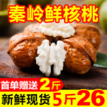 Spot Shaanxi fresh walnut Qinling natural green skin wet walnut thin skin tender 5kg new goods picked now found