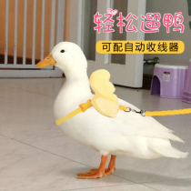 Pet duck Cole duck traction rope walking duck rope tie Chicken goose traction rope walking chicken duck Cat rabbit artifact