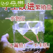 Guppy fish breeding box fish tank isolation box birth box mother fish raw small fish separation delivery room incubator