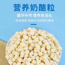 Hamster Cheese Grain Grilled Tooth Supplement Calcium Supplies Warehouse Rat Guinea Pig Rabbit Dragon Cat Hedgehog Food Nutrition Small Snacks