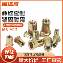 Iron color zinc flat head pull rivet nut furniture rivet nut column pull rivet nut nut knurled nut cap knurled pull mother M3M4M5M6M8M12